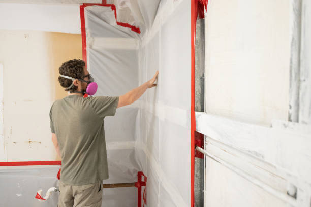 Mold Odor Removal Services in Kenova, WV