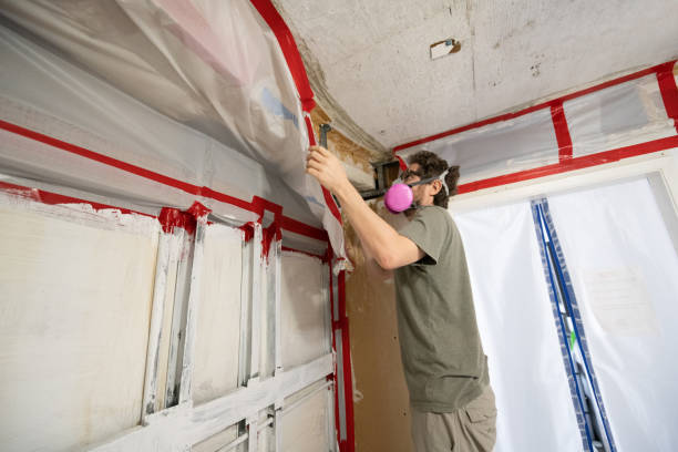 Dehumidification Services in Kenova, WV