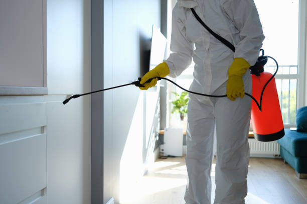 Best Post-Construction Mold Inspection  in Kenova, WV