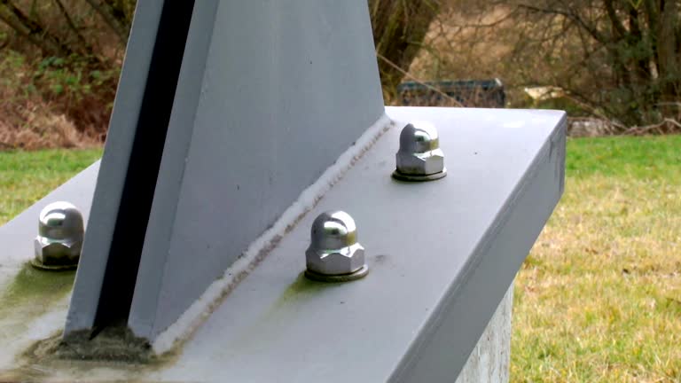Best Forensic Mold Investigation  in Kenova, WV