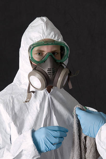 Best Mold Odor Removal Services  in Kenova, WV